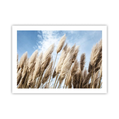 Affiche - Poster - Caresse ensoleillée et venteuse - 70x50 cm