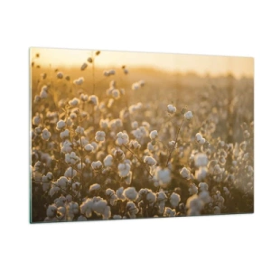 Impression sur verre - Image sur verre - Champ de coton au coucher du soleil - 120x80cm - Champ moelleux - Décoration murale moderne pour le salon et la chambre ARTTOR