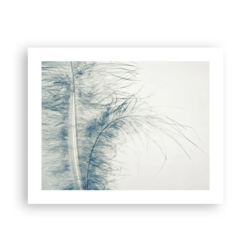 Affiche - Poster - Les sept natures - 50x40 cm