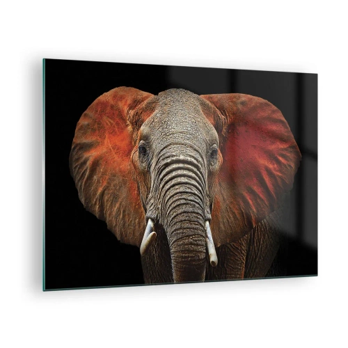 Impression sur verre - Image sur verre - Portrait d'un éléphant majestueux sur fond noir - 70x50cm - Je suis sauvage, et toi? - Décoration murale moderne pour le salon et la chambre ARTTOR
