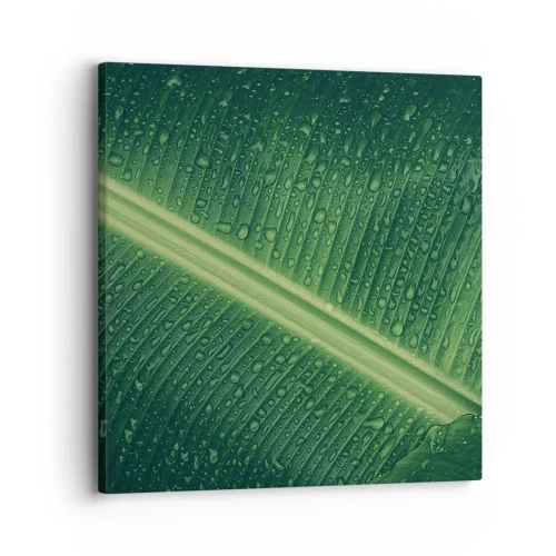 Impression sur toile - Image sur toile - Structure de vert - 30x30 cm