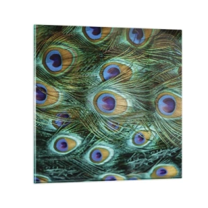 Impression sur verre - Image sur verre - Un regard de paon - 70x70 cm