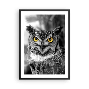 Affiche dans un cadre noir - Poster - Un hibou aux yeux jaunes sur fond noir et blanc - 50x70cm - Rien ne se cachera - Décoration murale moderne pour le salon et la chambre ARTTOR
