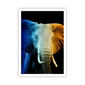 Affiche - Poster - Excentrique, pas bizarre - 70x100 cm