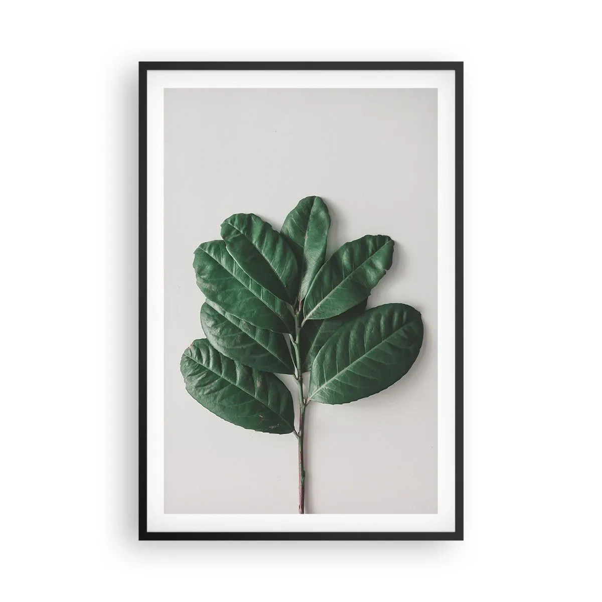 Affiche dans un cadre noir - Poster - Dessin de la nature elle-même - 61x91 cm