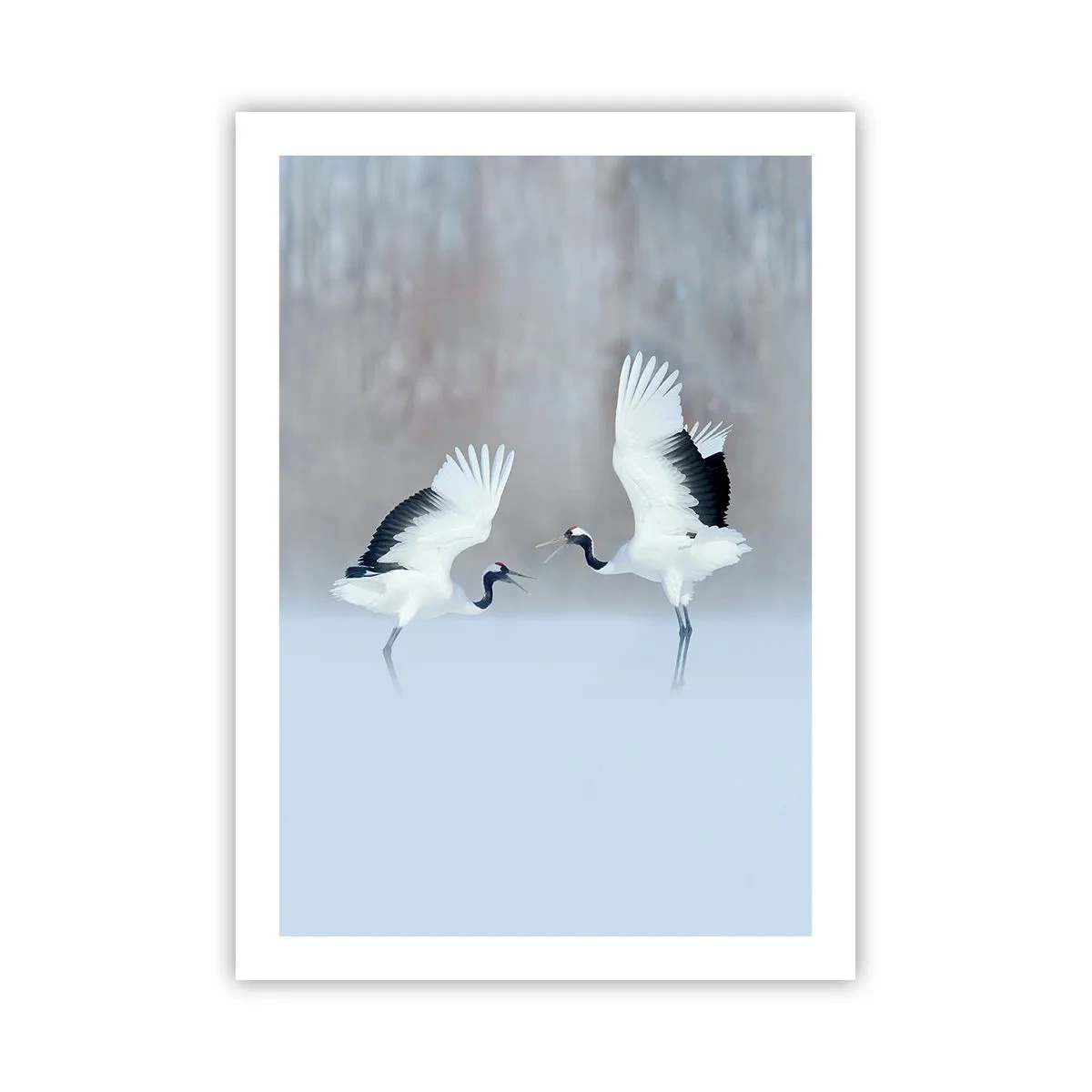 Affiche - Poster - Grues dansantes sur fond de paysage hivernal - 50x70cm - Danse dans le brouillard - Décoration murale moderne pour le salon et la chambre ARTTOR