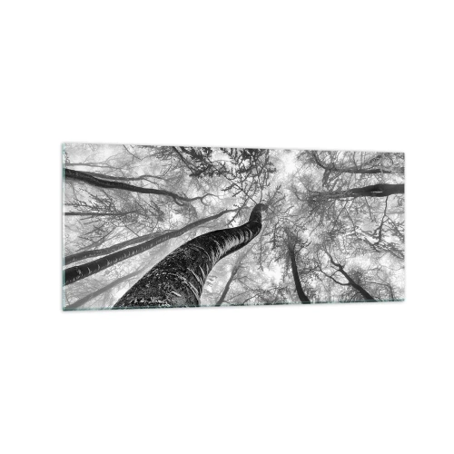 Impression sur verre - Image sur verre - Perspective d'arbres dans une forêt vue d'en bas en nuances de gris - 120x50cm - Course vers la lumière - Décoration murale moderne pour le salon et la chambre ARTTOR
