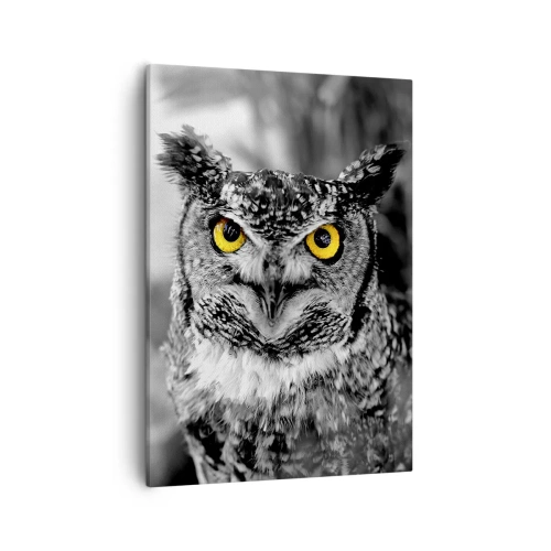 Impression sur toile - Image sur toile - Une photo en noir et blanc d'un hibou aux yeux jaunes - 50x70cm - Rien ne se cachera - Décoration murale moderne pour le salon et la chambre ARTTOR