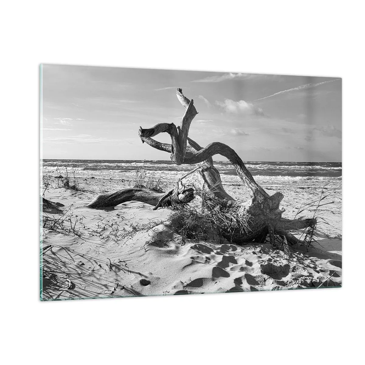 Impression sur verre - Image sur verre - Un paysage en noir et blanc avec une branche tombée sur une plage en bord de mer. - 120x80cm - Sculpture marine - Décoration murale moderne pour le salon et la chambre ARTTOR