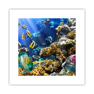 Affiche - Poster - Beaucoup de circulation sur la route des vacances - 30x30 cm