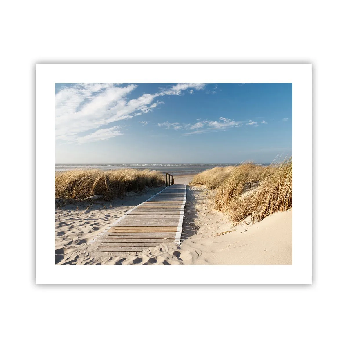 Affiche - Poster - Derrière la dune, dans le bruissement de l'herbe - 50x40 cm