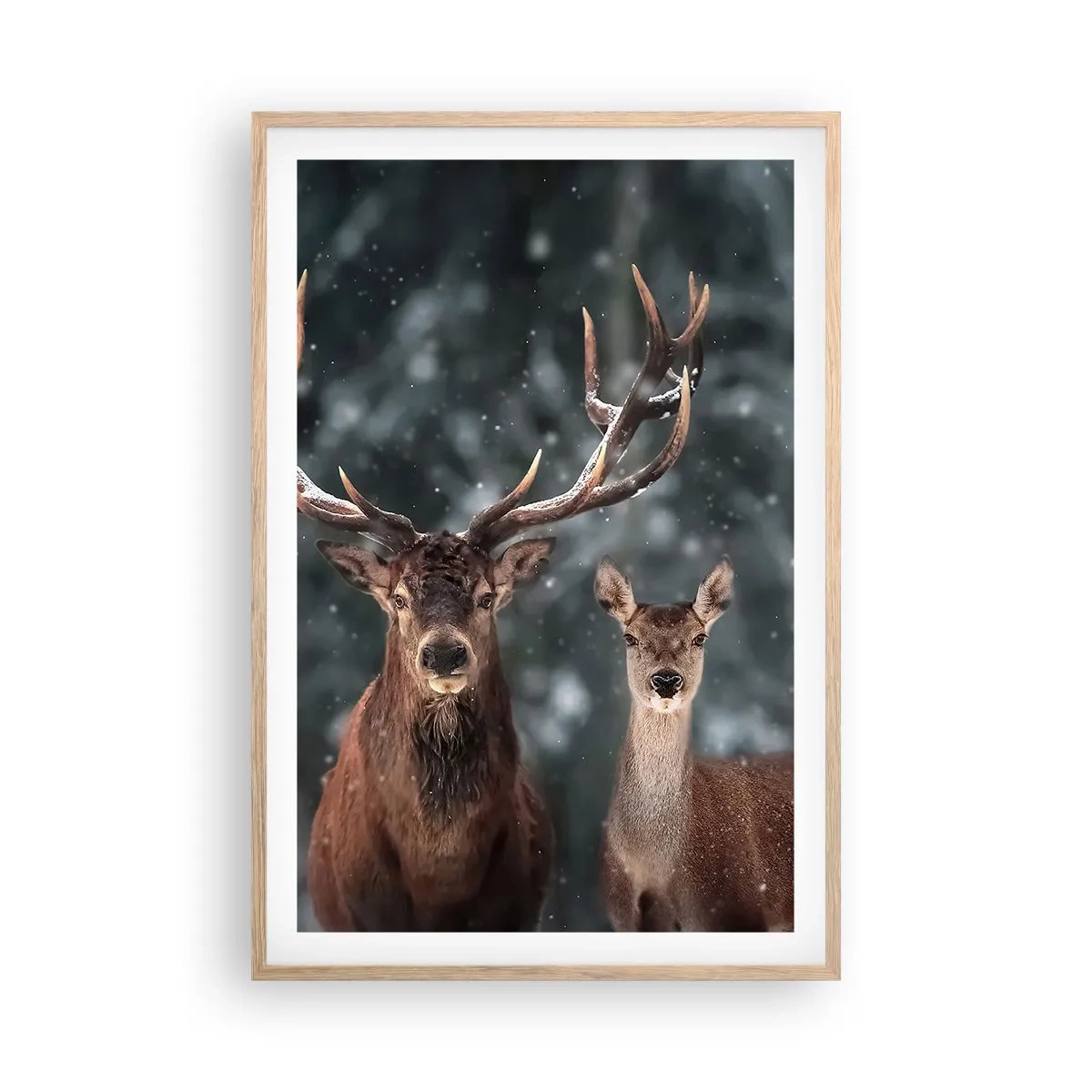 Affiche dans un chêne clair - Poster - Le roi de la forêt avec sa femme - 61x91 cm