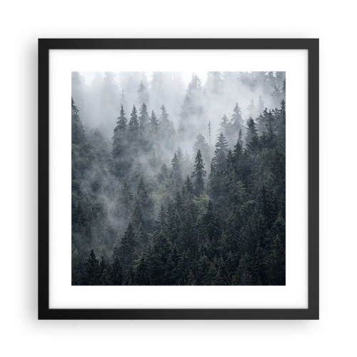 Affiche dans un cadre noir - Poster - Aube de la forêt - 40x40 cm