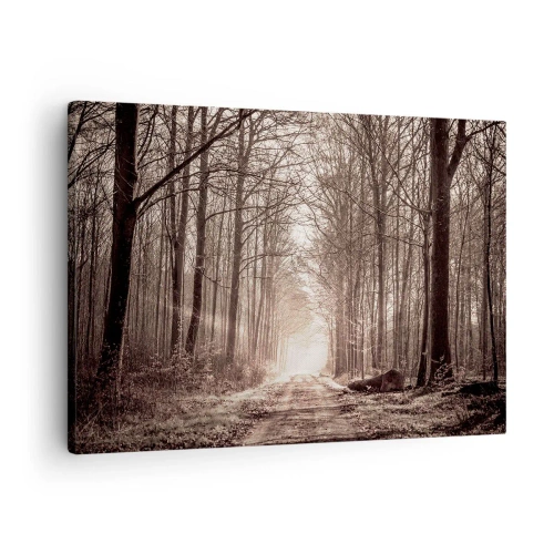 Impression sur toile - Image sur toile - Un chemin forestier parmi des arbres aux tons sépia - 70x50cm - Cathédrale de la forêt - Décoration murale moderne pour le salon et la chambre ARTTOR