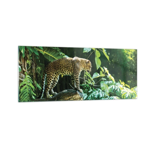 Impression sur verre - Image sur verre - À la chasse? - 100x40 cm