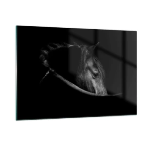 Impression sur verre - Image sur verre - Profil d'un cheval noir dans l'ombre avec un œil visible - 120x80cm - Prince Noir - Décoration murale moderne pour le salon et la chambre ARTTOR