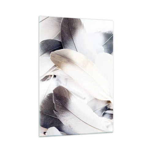 Impression sur verre - Image sur verre - Gros plan de plumes délicates dans des tons de blanc et de gris - 70x100cm - Presque angélique - Décoration murale moderne pour le salon et la chambre ARTTOR