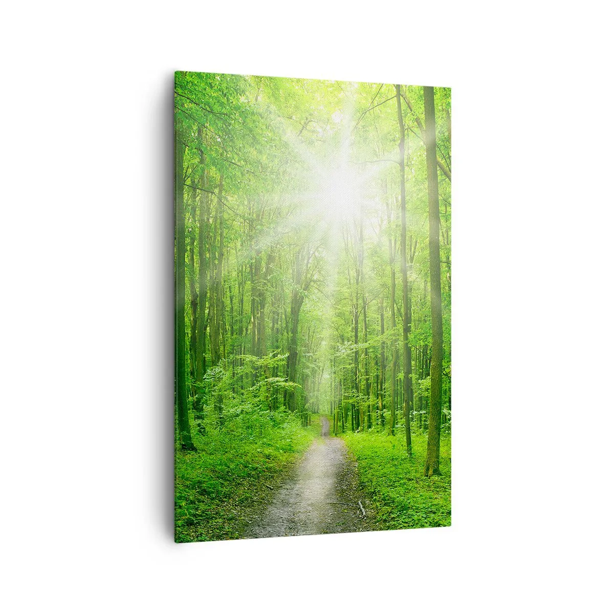Impression sur toile - Image sur toile - Chemin dans la forêt avec les rayons du soleil - 80x120cm - Cathédrale verte - Décoration murale moderne pour le salon et la chambre ARTTOR
