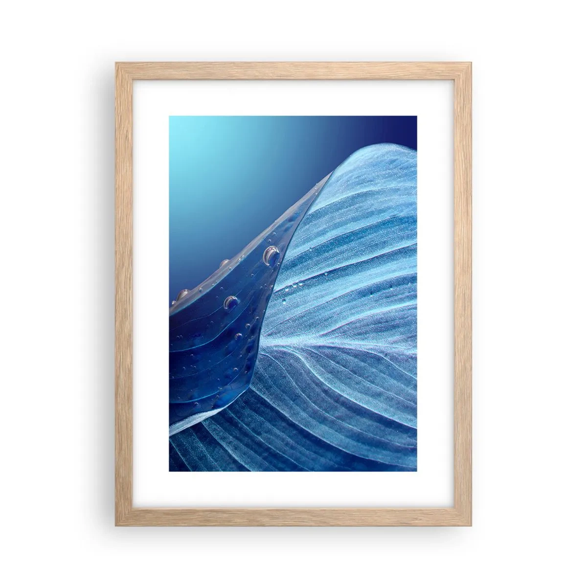 Affiche dans un chêne clair - Poster - Gouttes cachées du bleu - 30x40 cm