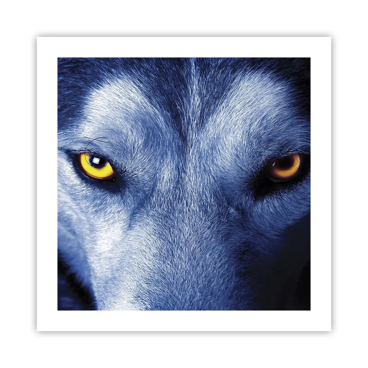 Affiche - Poster - Regars hypnotique - 50x50 cm