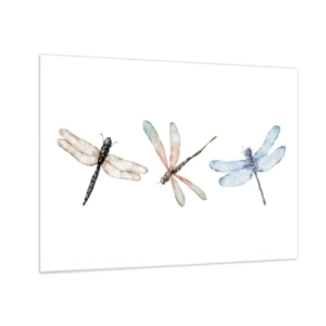 Impression sur verre - Image sur verre - Trois libellules colorées sur fond blanc dans un style aquarelle délicat - 70x50cm - Libellules en apesanteur - Décoration murale moderne pour le salon et la chambre ARTTOR