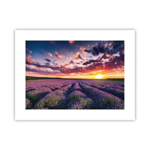 Affiche - Poster - Monde de lavande - 40x30 cm