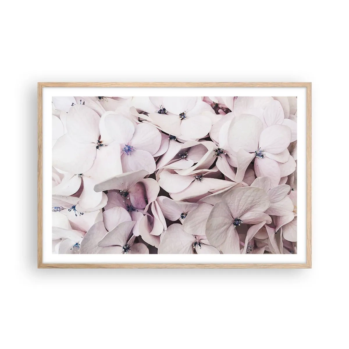 Affiche dans un chêne clair - Poster - Dans un flot de fleurs - 91x61 cm