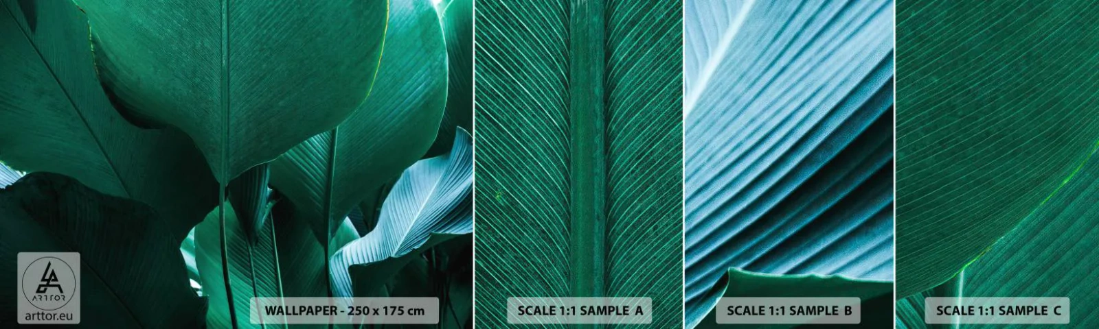 Échantillon De Papier Peint Standard Eco - Tourné vers la lumière - Feuille de banane, Bananier, Usine - 100x30 cm