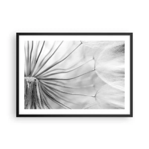 Affiche dans un cadre noir - Poster - Pissenlits délicats dans des tons noir et blanc - 70x50cm - Aigrette avant son envol - Décoration murale moderne pour le salon et la chambre ARTTOR