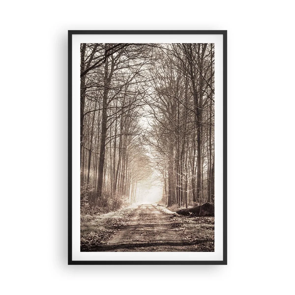 Affiche dans un cadre noir - Poster - Cathédrale de la forêt - 61x91 cm