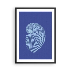 Affiche dans un cadre noir - Poster - Graphiques de coquillages stylisés disposés en spirale - 50x70cm - La naissance de la coquille - Décoration murale moderne pour le salon et la chambre ARTTOR