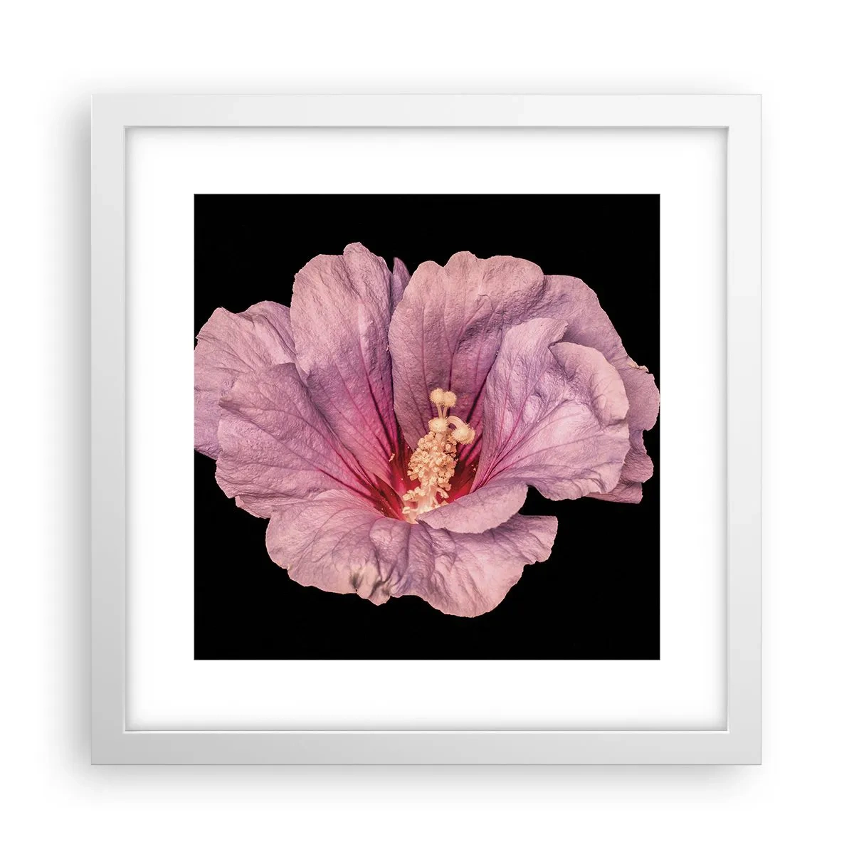 Affiche dans un cadre blanc - Poster - Directement au coeur - 30x30 cm