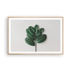 Affiche dans un chêne clair - Poster - Dessin de la nature elle-même - 91x61 cm