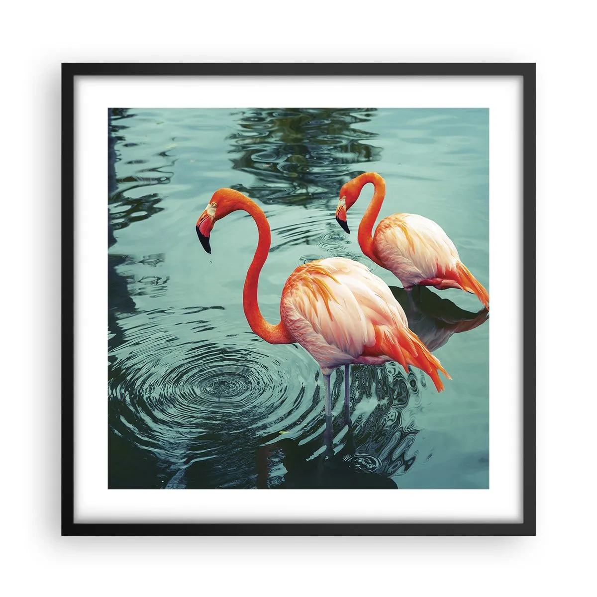 Affiche dans un cadre noir - Poster - Nous sommes à la mode maintenant - 50x50 cm