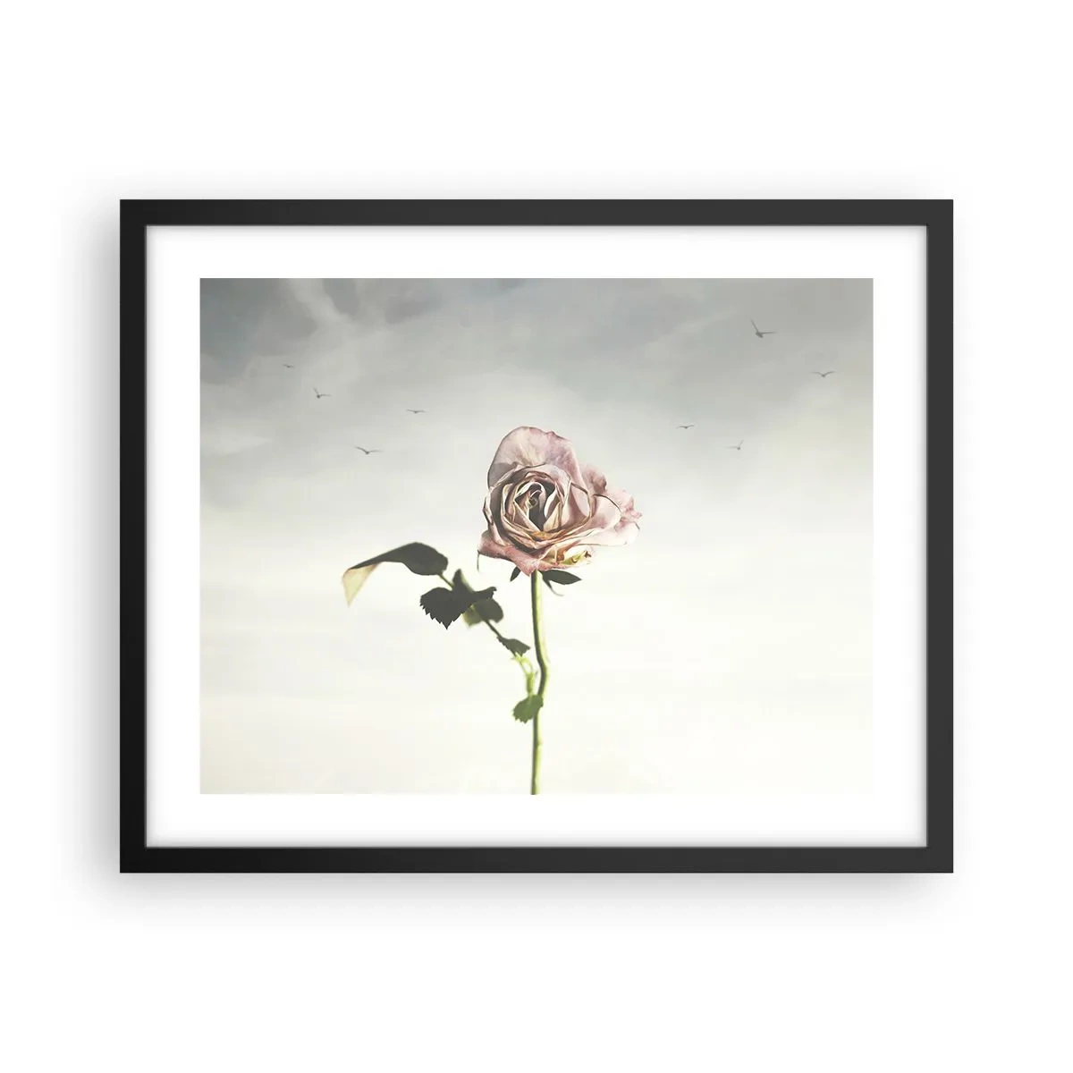 Affiche dans un cadre noir - Poster - Bonjour de printemps - 50x40 cm