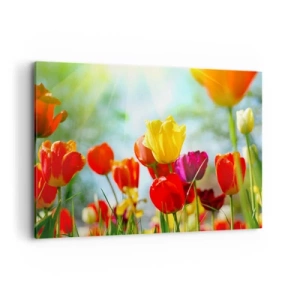 Impression sur toile - Image sur toile - Tulipes colorées au soleil - 120x80cm - Toutes les couleurs du soleil - Décoration murale moderne pour le salon et la chambre ARTTOR