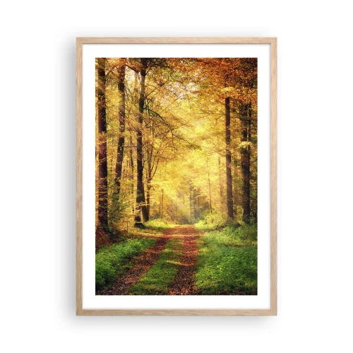 Affiche dans un chêne clair - Poster - Silence d'or en forêt - 50x70 cm