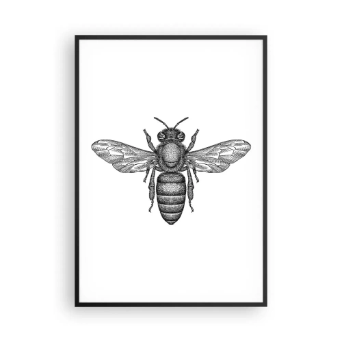 Affiche dans un cadre noir - Poster - Portrait d'insecte - 70x100 cm