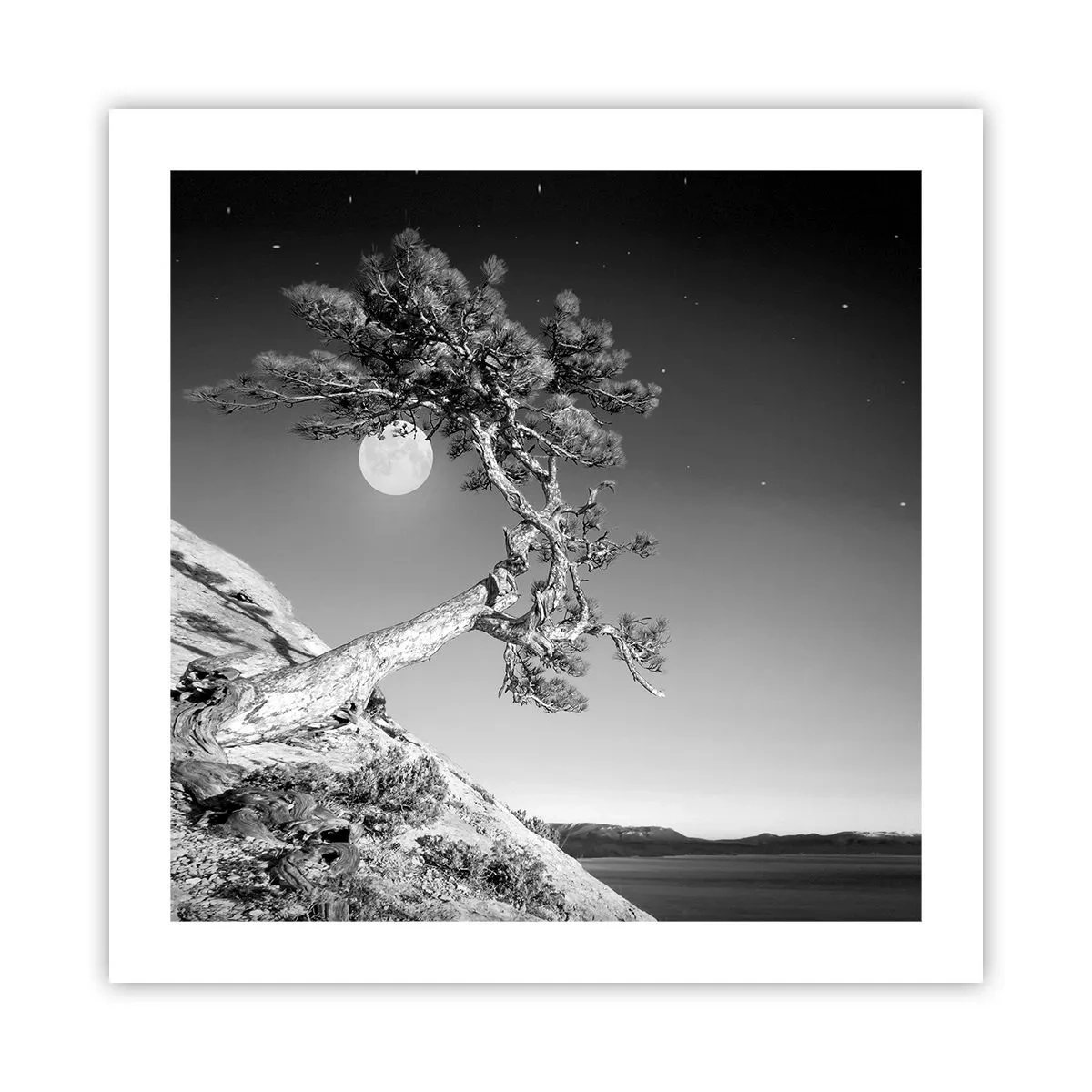 Affiche - Poster - Un combattant vainqueur - 50x50 cm