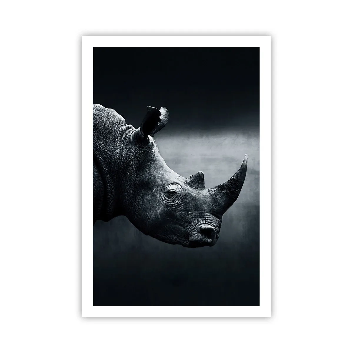 Affiche - Poster - Le profil droit - 61x91 cm