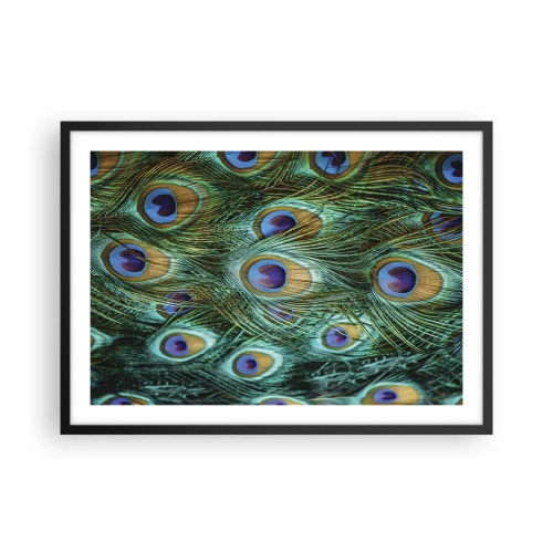 Affiche dans un cadre noir - Poster - Détails des plumes de paon aux couleurs riches - 70x50cm - Un regard de paon - Décoration murale moderne pour le salon et la chambre ARTTOR