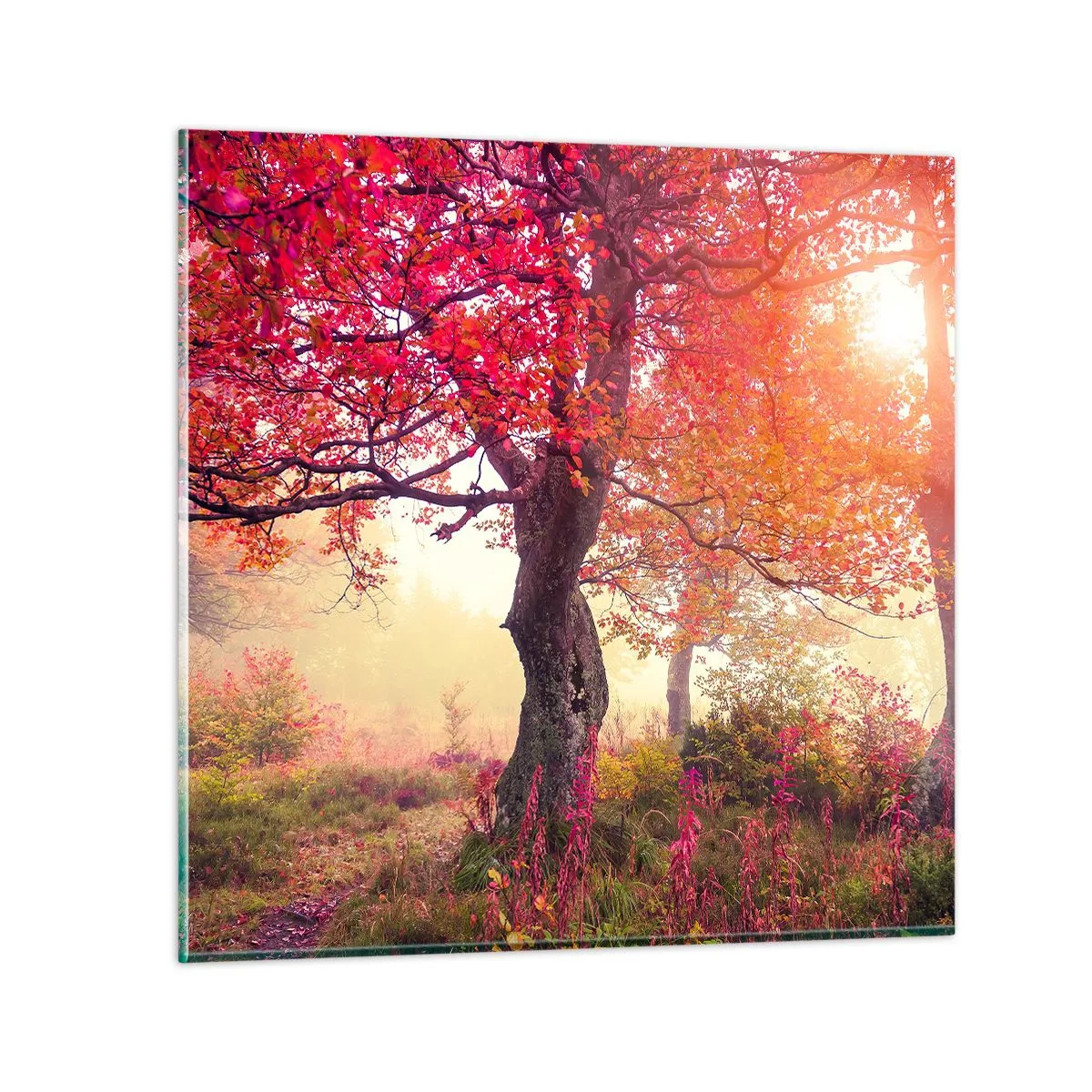 Impression sur verre - Image sur verre - Frénésie de floraison - 70x70 cm