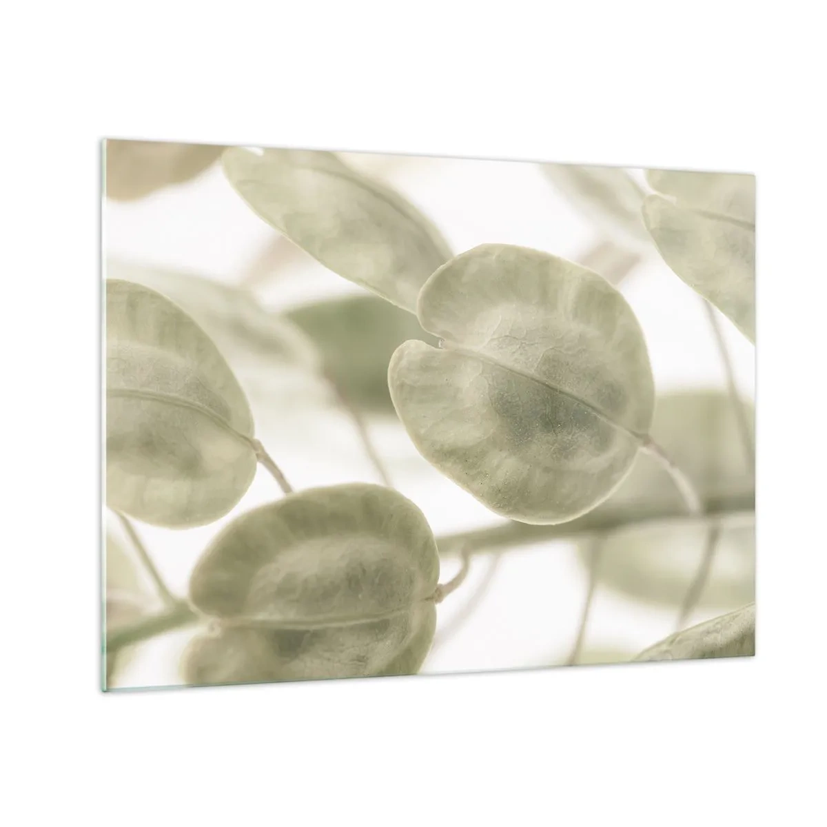 Impression sur verre - Image sur verre - Gros plan de feuilles dans des tons pastel doux de vert - 70x50cm - Au commencement il y avait des feuilles... - Décoration murale moderne pour le salon et la chambre ARTTOR