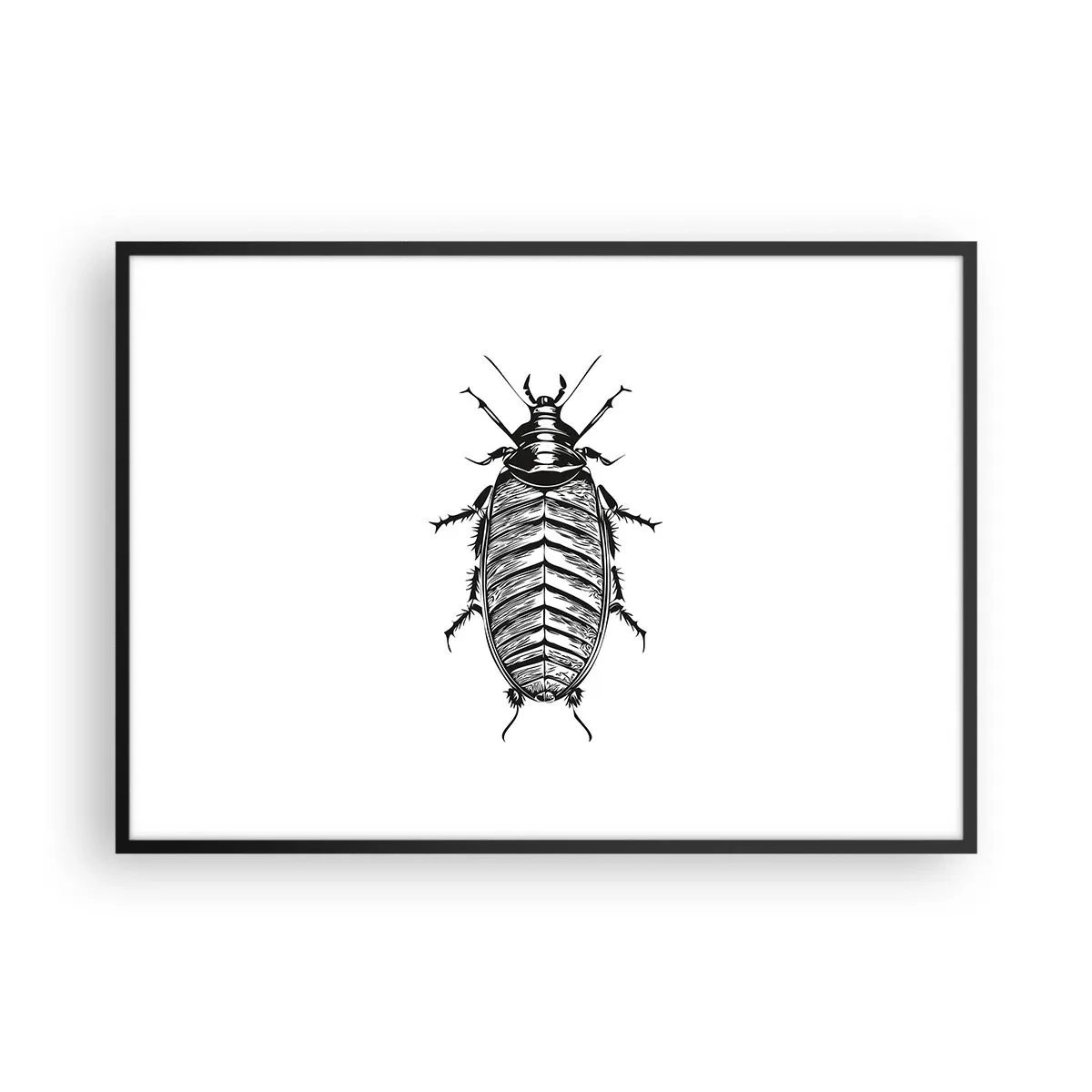 Affiche dans un cadre noir - Poster - Graphique d'un insecte noir et blanc sur fond blanc - 100x70cm - Quel spécimen! - Décoration murale moderne pour le salon et la chambre ARTTOR