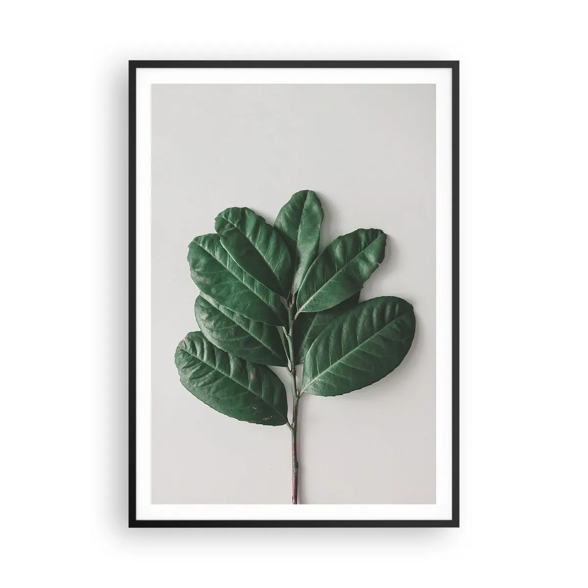 Affiche dans un cadre noir - Poster - Dessin de la nature elle-même - 70x100 cm