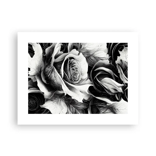 Affiche - Poster - Toujours une reine - 40x30 cm