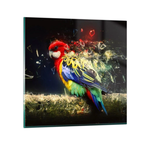 Impression sur verre - Image sur verre - Messager d'éclat - 40x40 cm