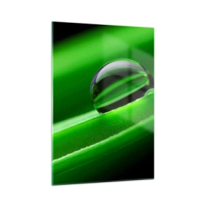 Impression sur verre - Image sur verre - Une goutte de rosée sur une feuille verte - 50x70cm - La vie de près - Décoration murale moderne pour le salon et la chambre ARTTOR