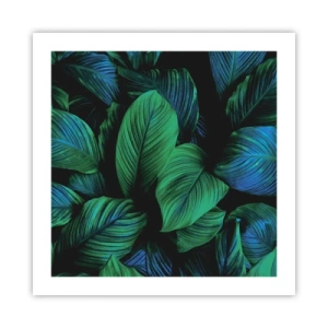 Affiche - Poster - Dans la foule verte - 50x50 cm