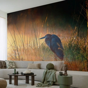 Papier Peint Photo Premium Canvas - Allez, laissez-moi en paix avec ces photos - Héron, Oiseau, Nature - 500x350 cm